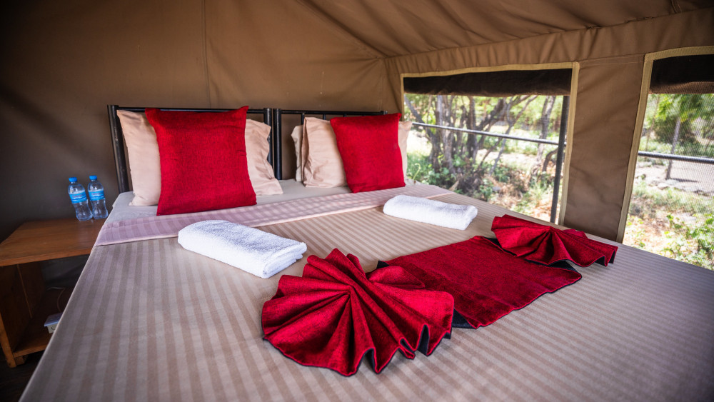 Africa Safari Lake Natron Lodge 7