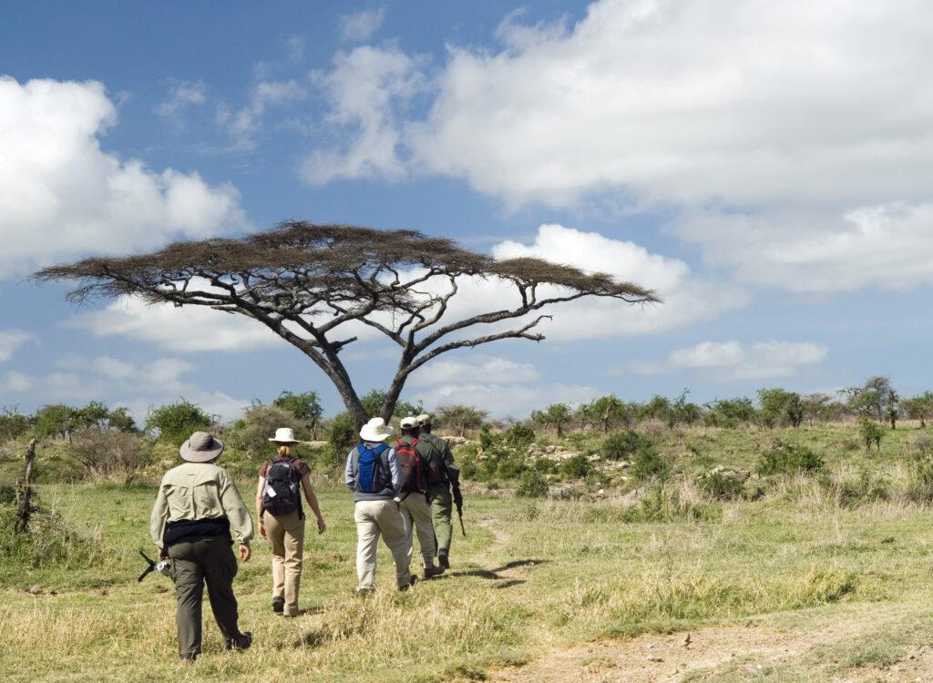 Walking Safari in Lake Manyara