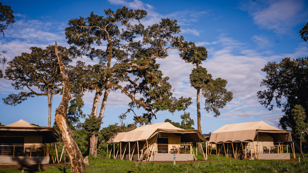 Ang'ata Ngorongoro Camp 1