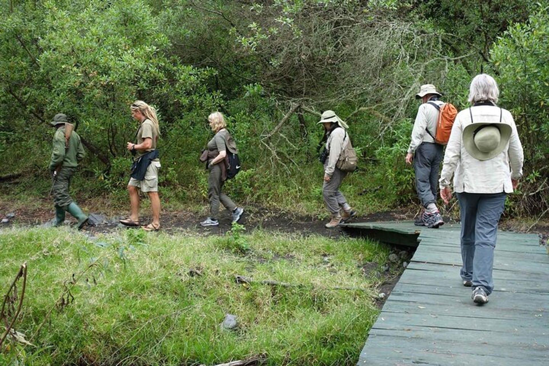 Walking Safari in Arusha National Park