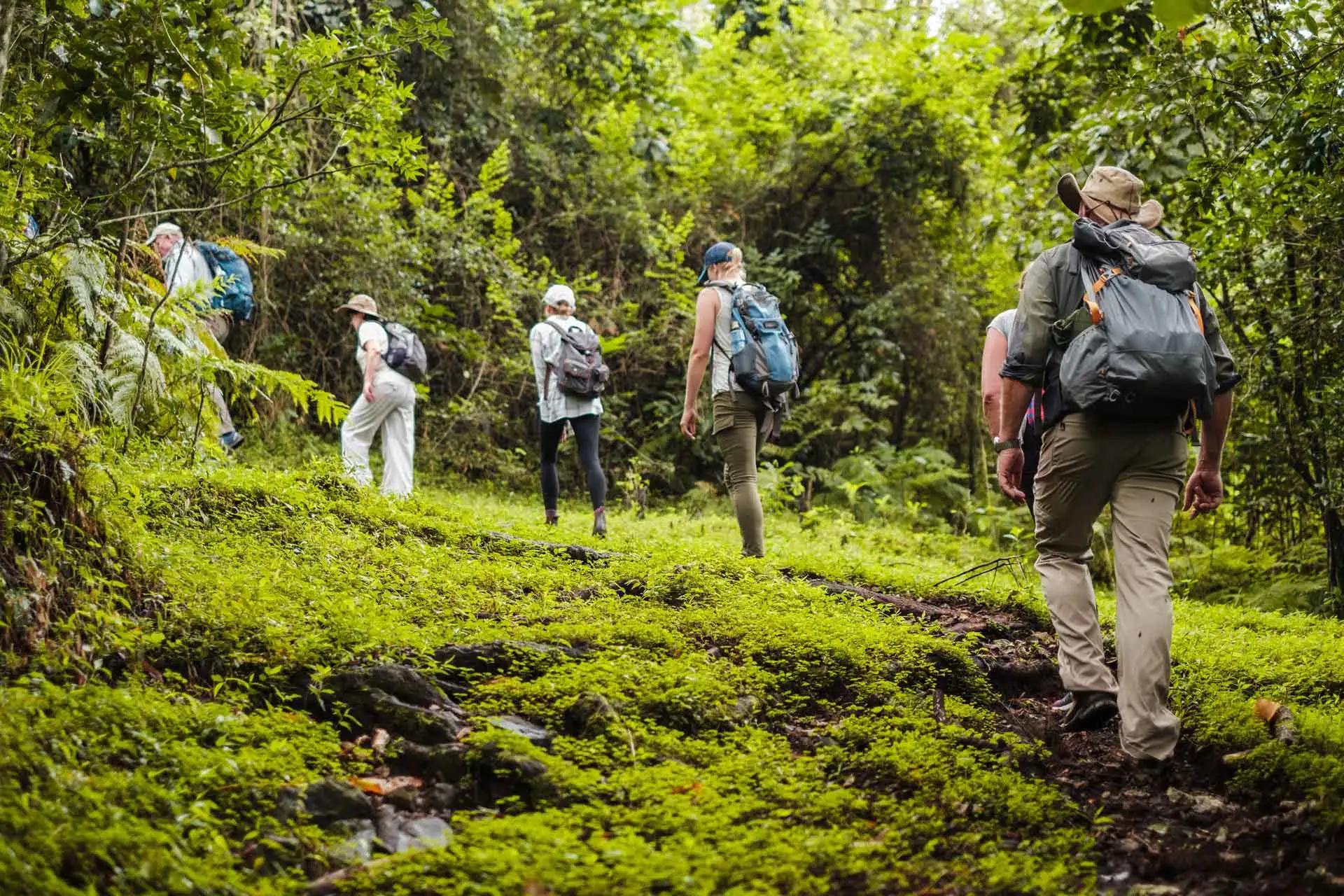 Walking Safari in Arusha National Park