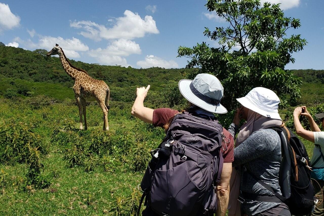 Walking Safari in Arusha National Park