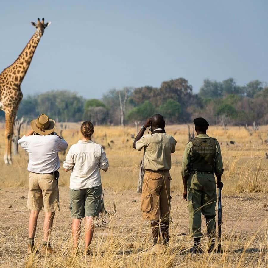 Walking Safari in Arusha National Park