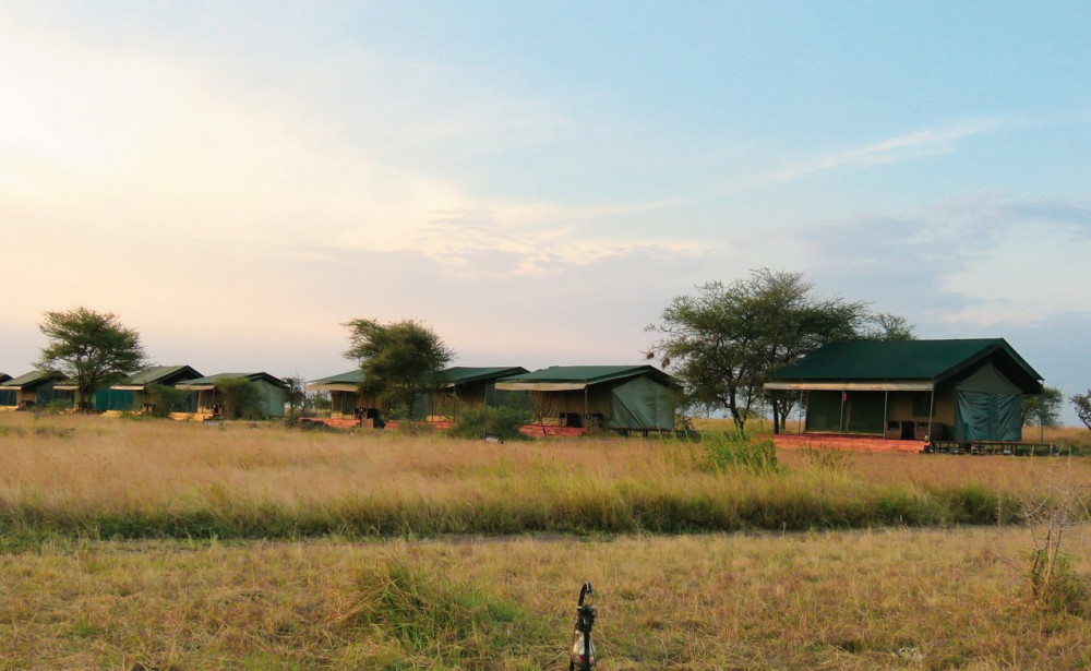 Central Serengeti Luxury Camp 1