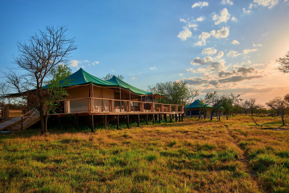 Central Serengeti Moyo Camp Warangi 9