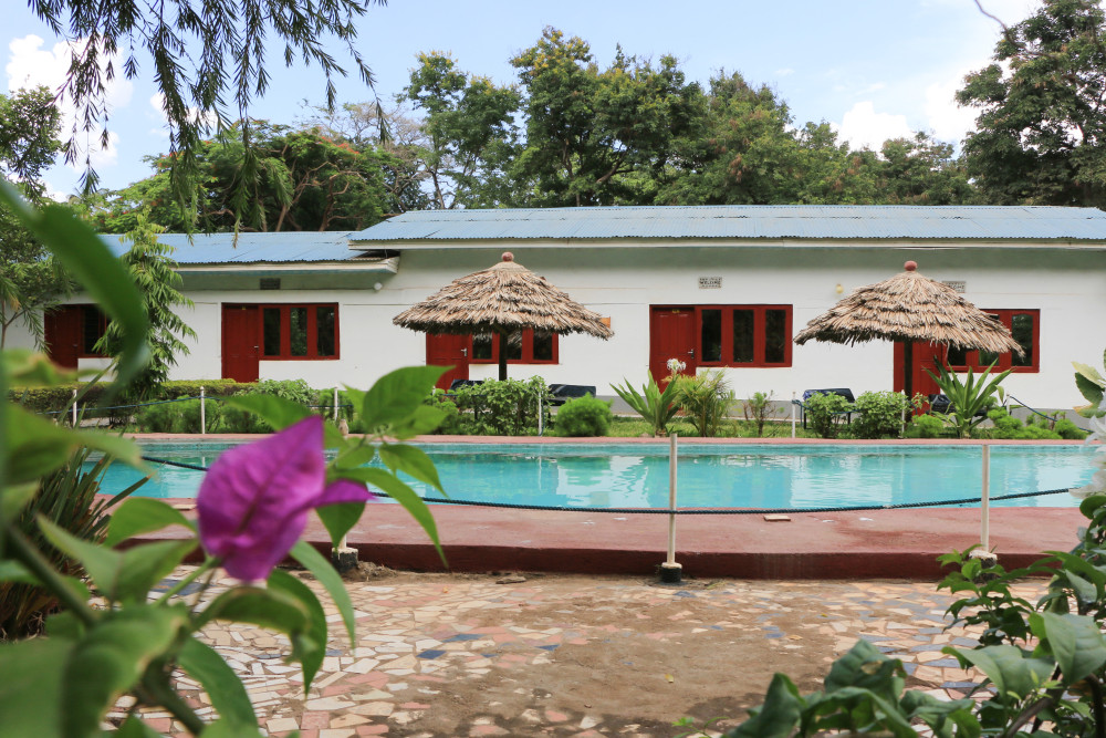 Fig Tree Lodge 8