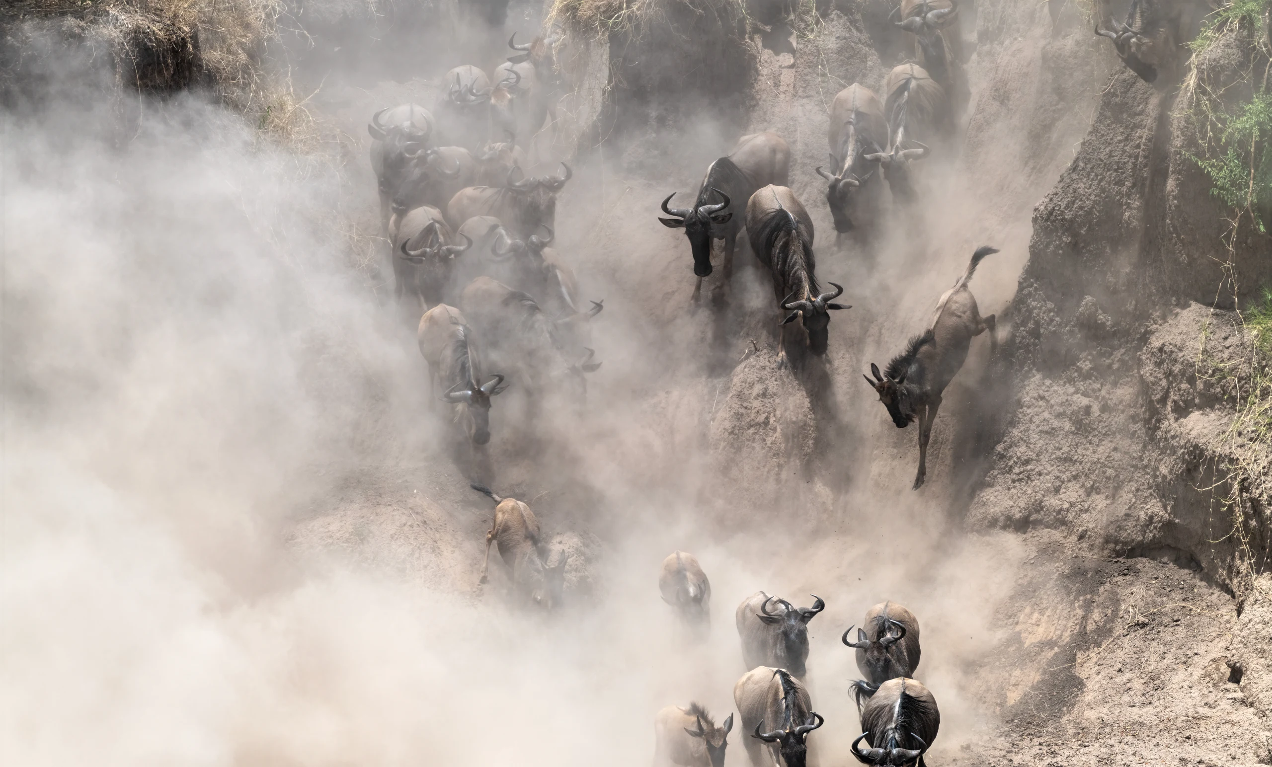10-Day Great Migration Safari (Witness Mara-Crossing)