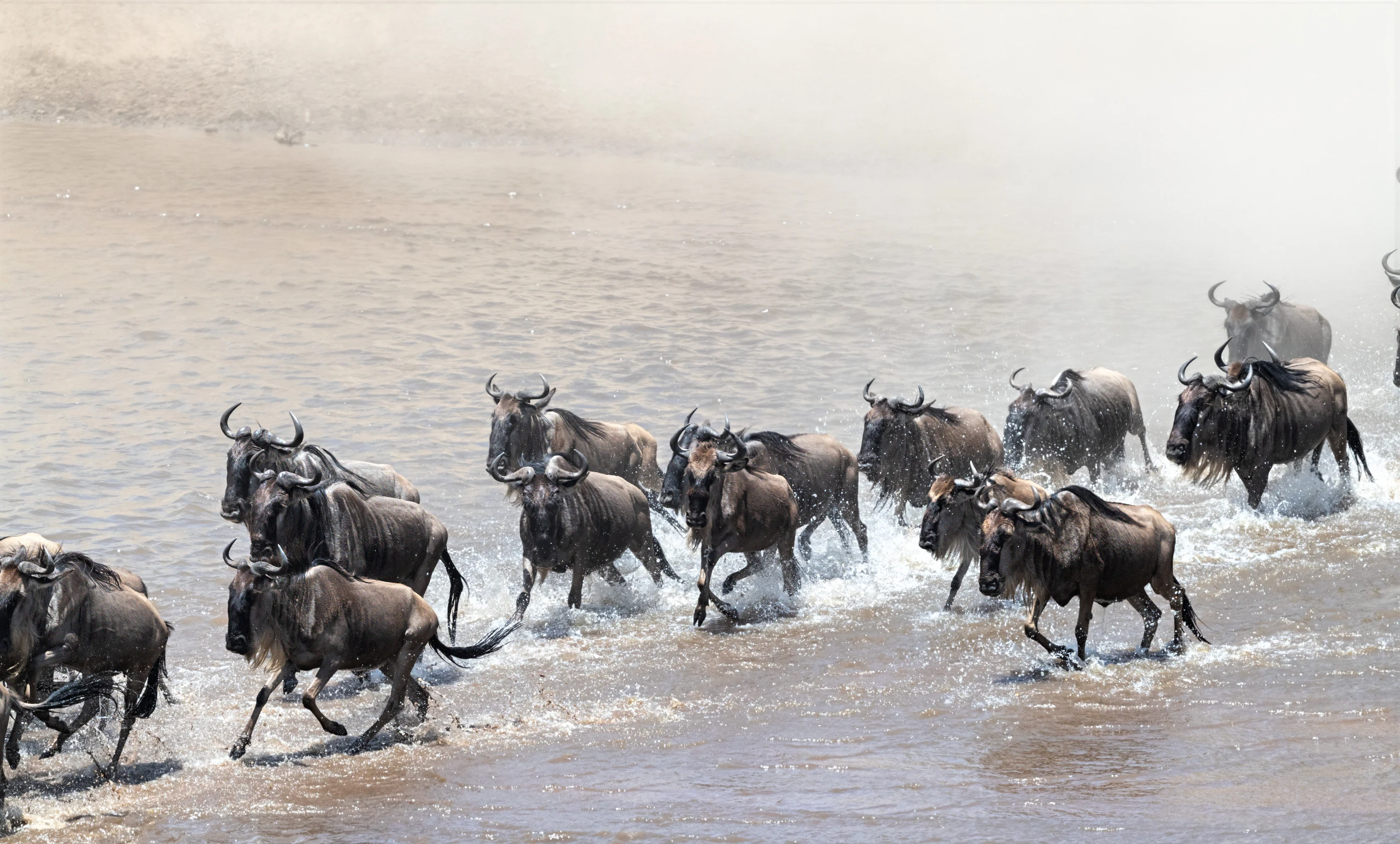10-Day Great Migration Safari (Witness Mara-Crossing)