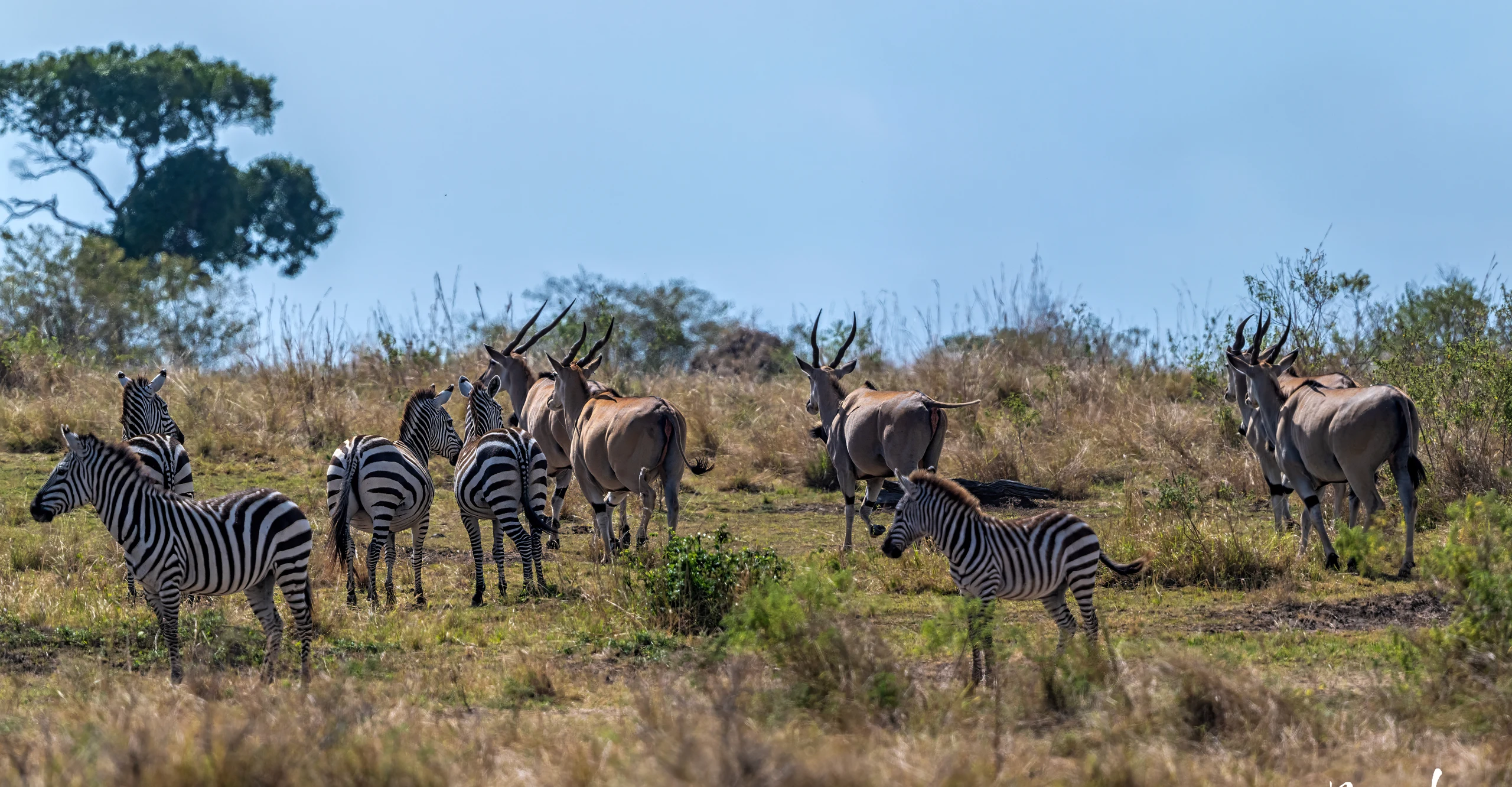 6-Day Tanzania Wilderness & Culture Safari