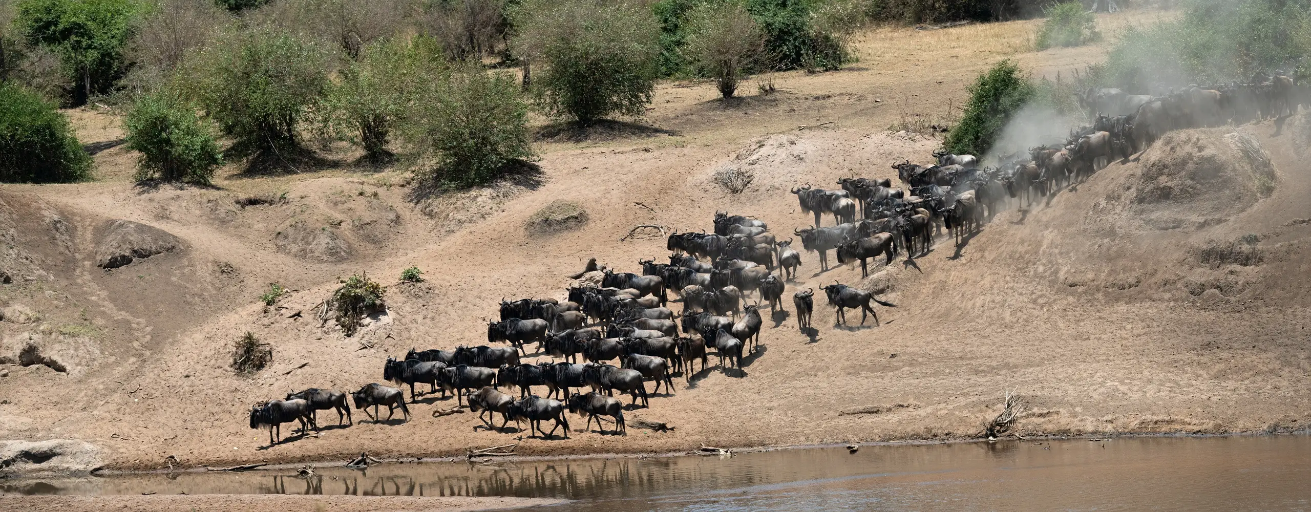 8-Day Great Migration Experience in Tanzania (Aug - Sep)