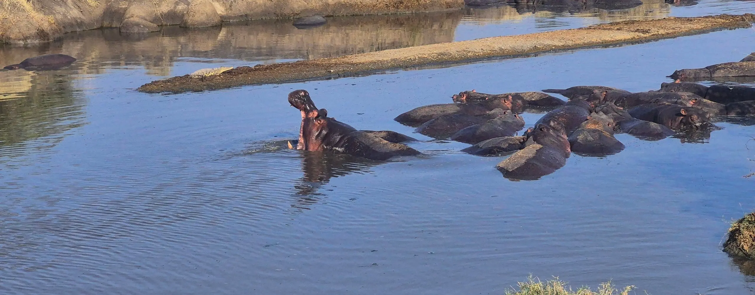 5-Day Budget Safari Across Tanzania's Best Parks