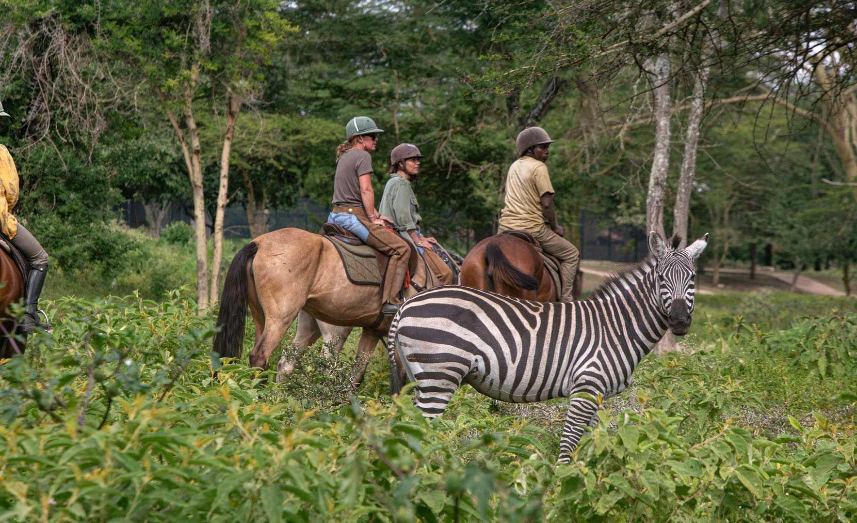 Horseback Riding In Arusha City