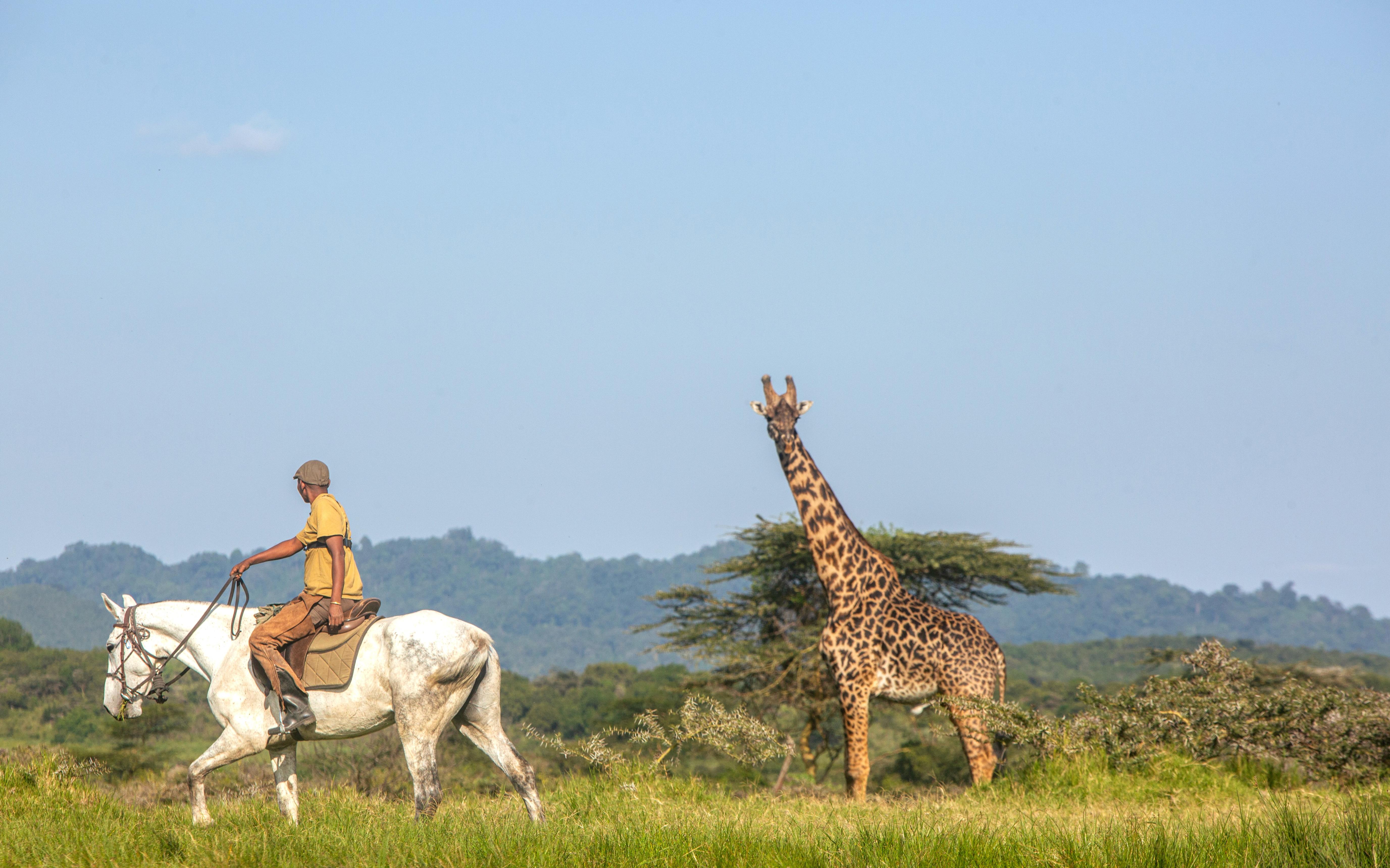 Horseback Riding In Arusha City