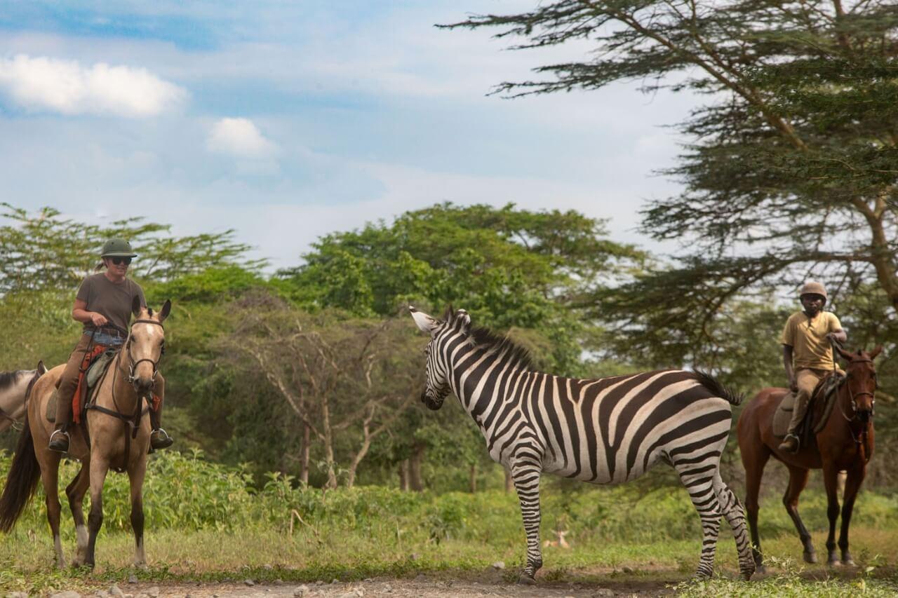 Horseback Riding In Arusha City