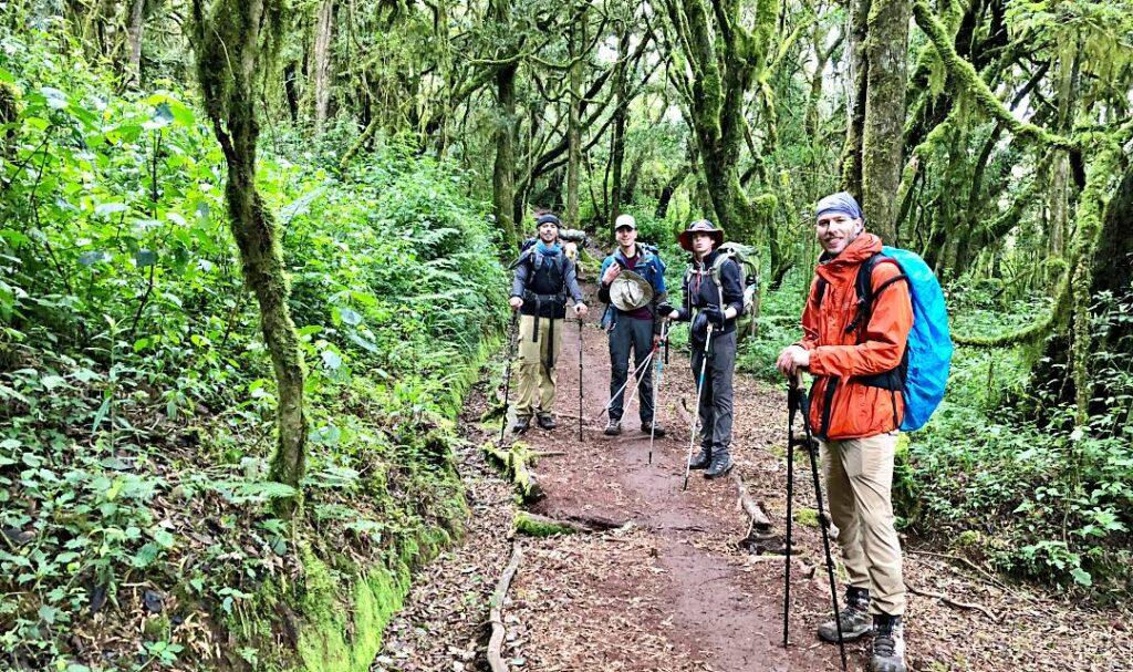 Mount Kilimanjaro Hike (Day Tour)