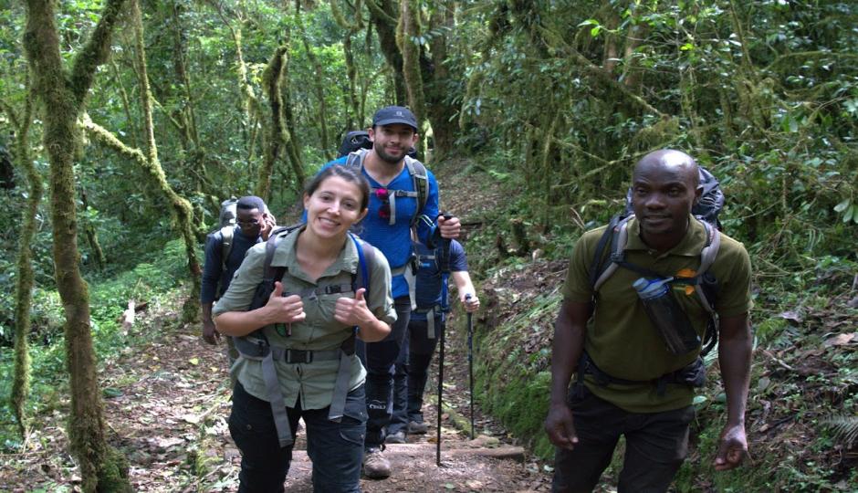 Mount Kilimanjaro Hike (Day Tour)