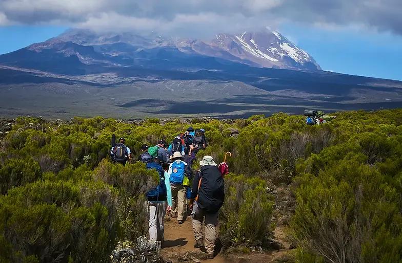 Mount Kilimanjaro Hike (Day Tour)