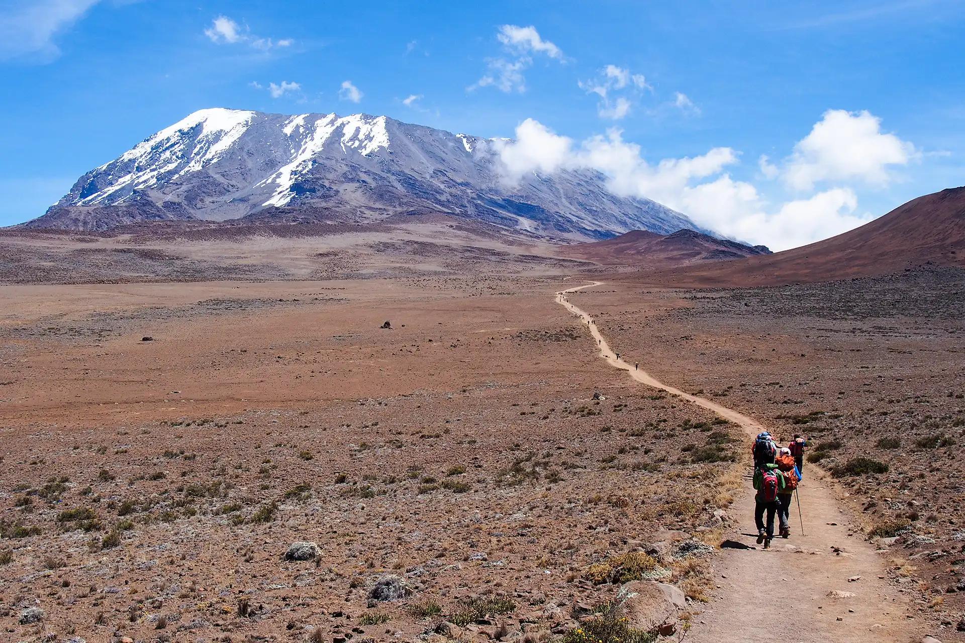 Mount Kilimanjaro Hike (Day Tour)