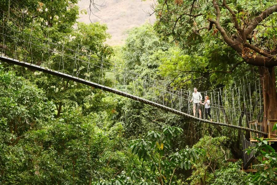 Treetop Walk In Lake Manyara