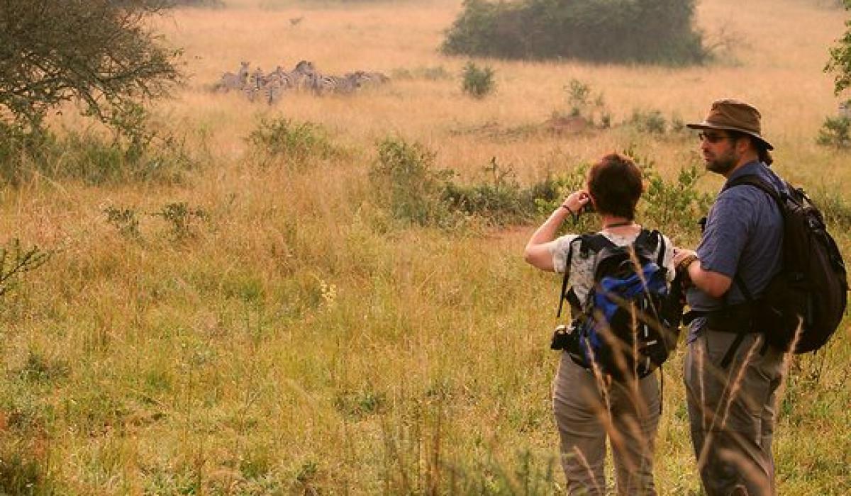 Walking Safari in Lake Manyara