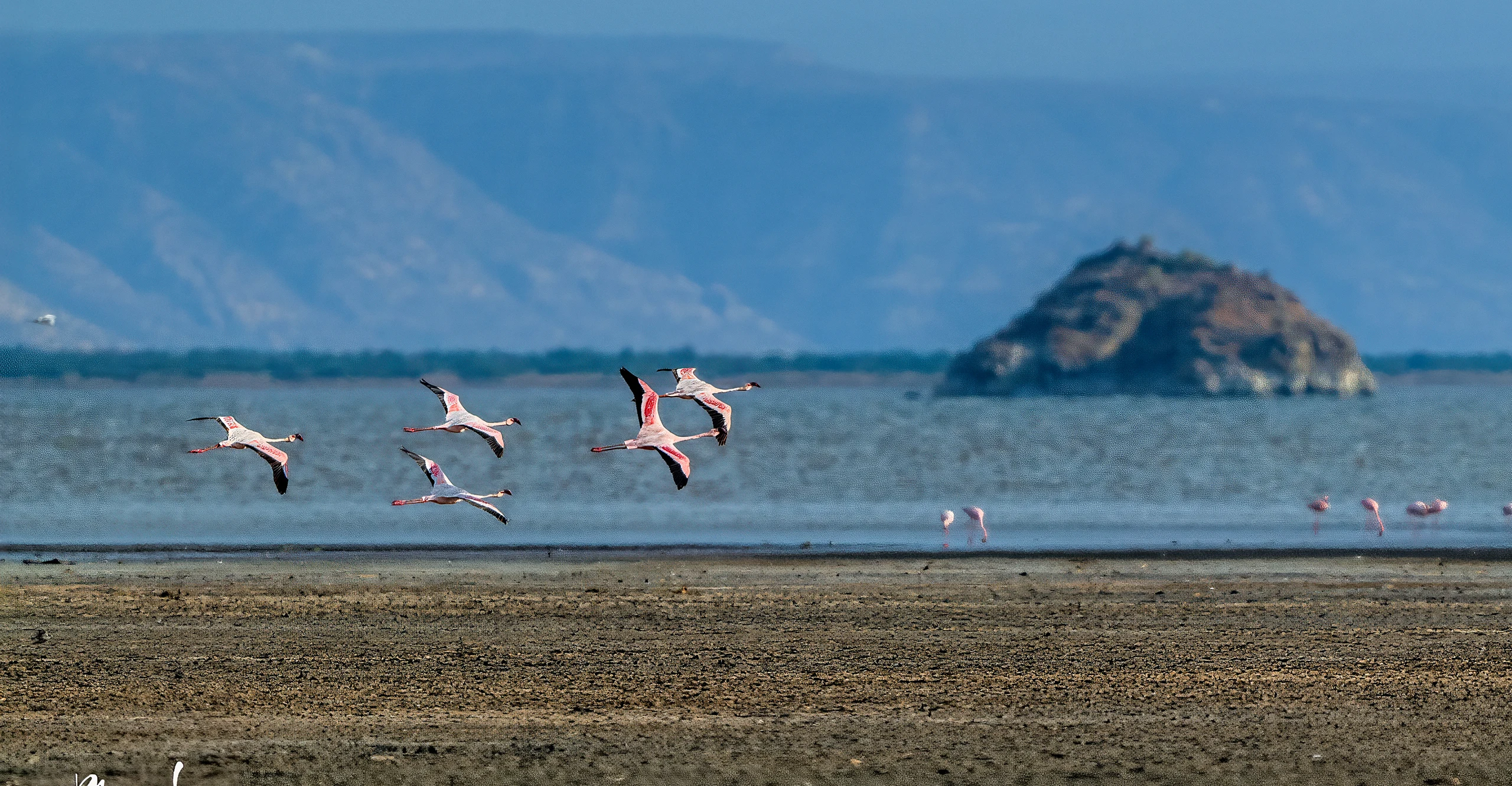 9-Day Lake Natron and Iconic Parks Safari