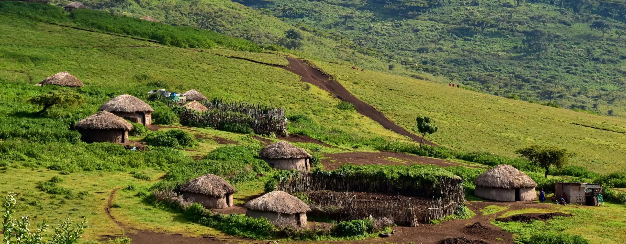Visit a Maasai Village in Ngorongoro