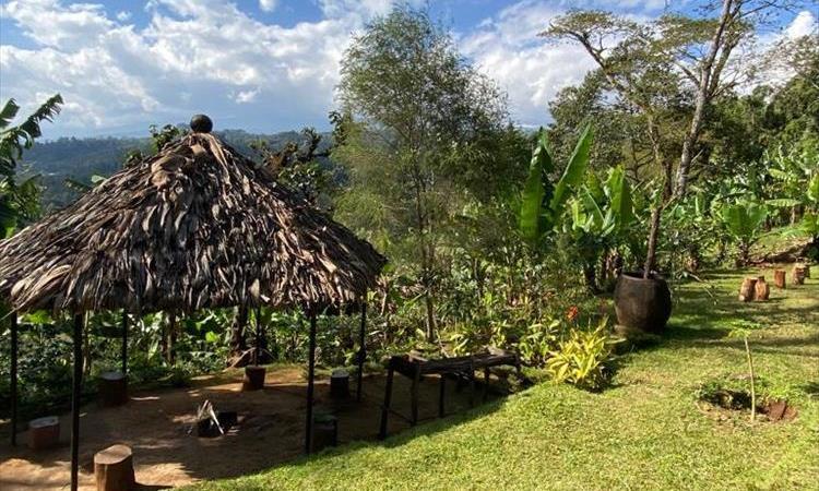 Materuni Waterfall & Coffee Tour