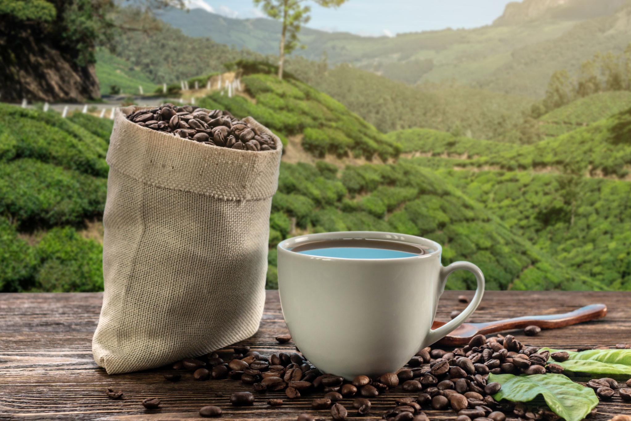 Materuni Waterfall & Coffee Tour