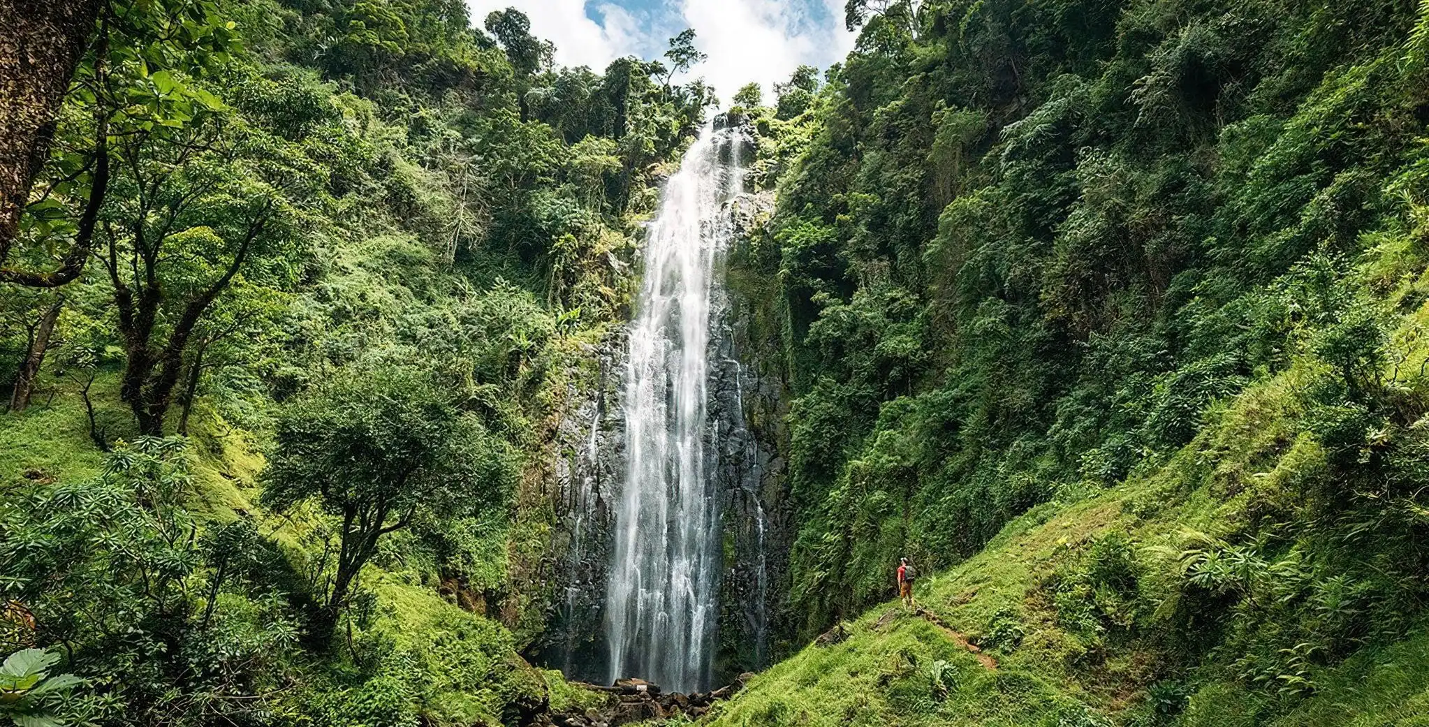 Materuni Waterfall & Coffee Tour