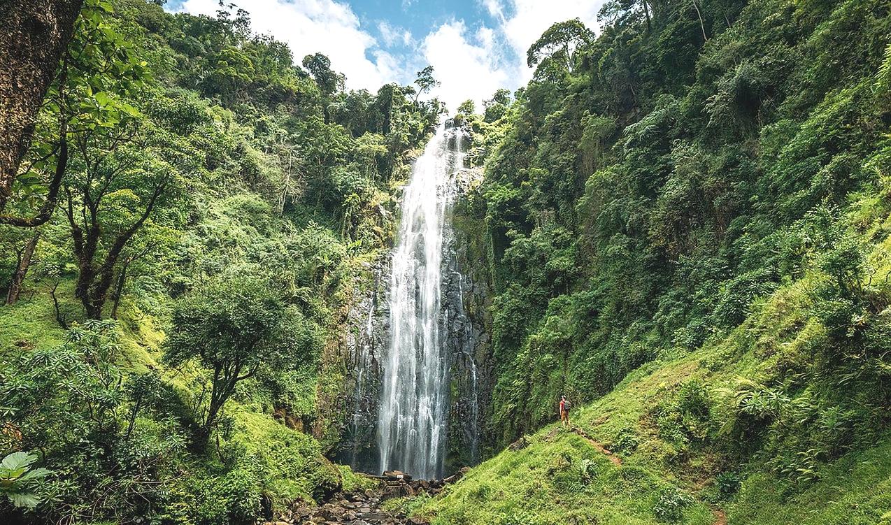 Materuni Waterfall & Coffee Tour