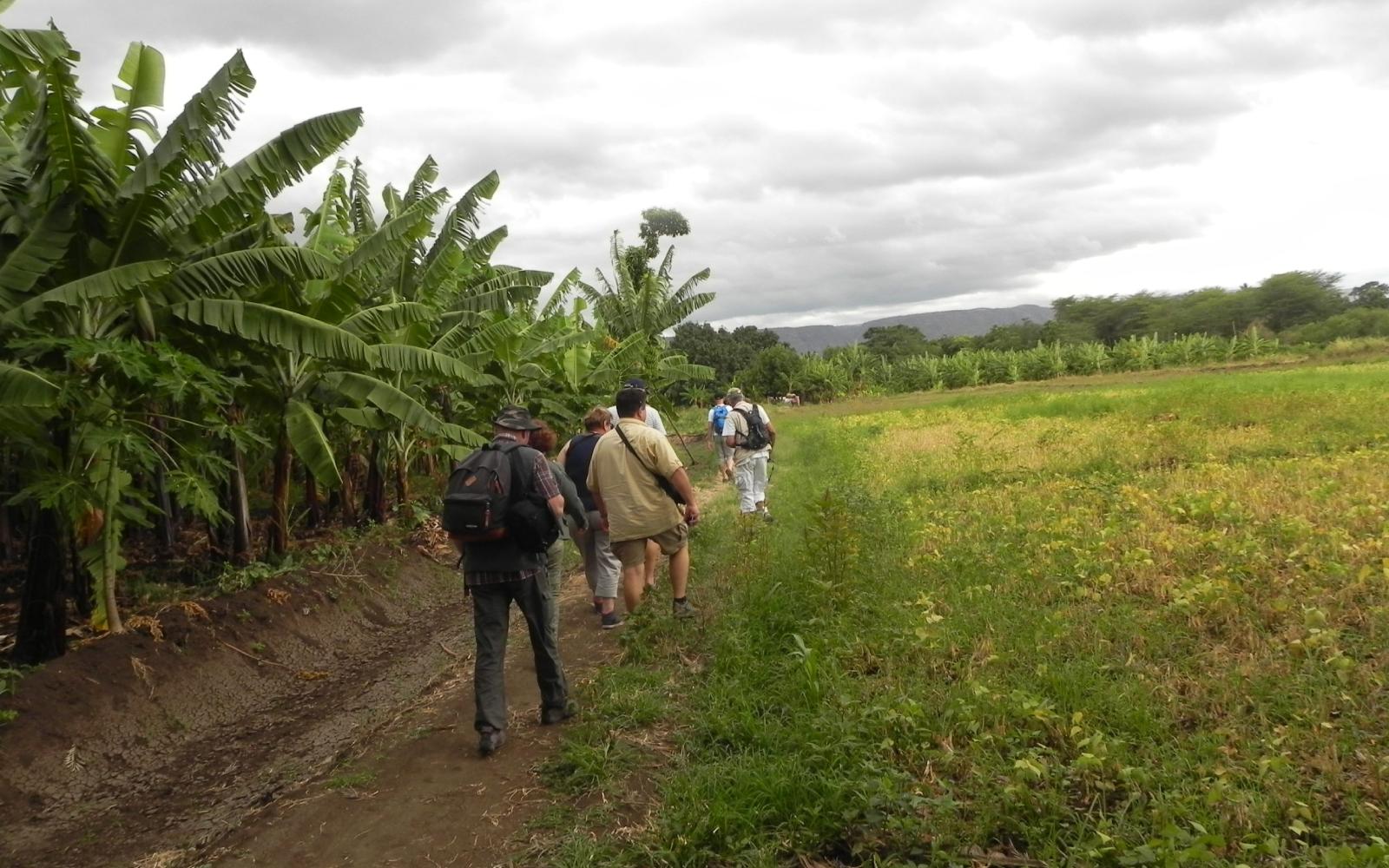 Mto wa Mbu Village Tour