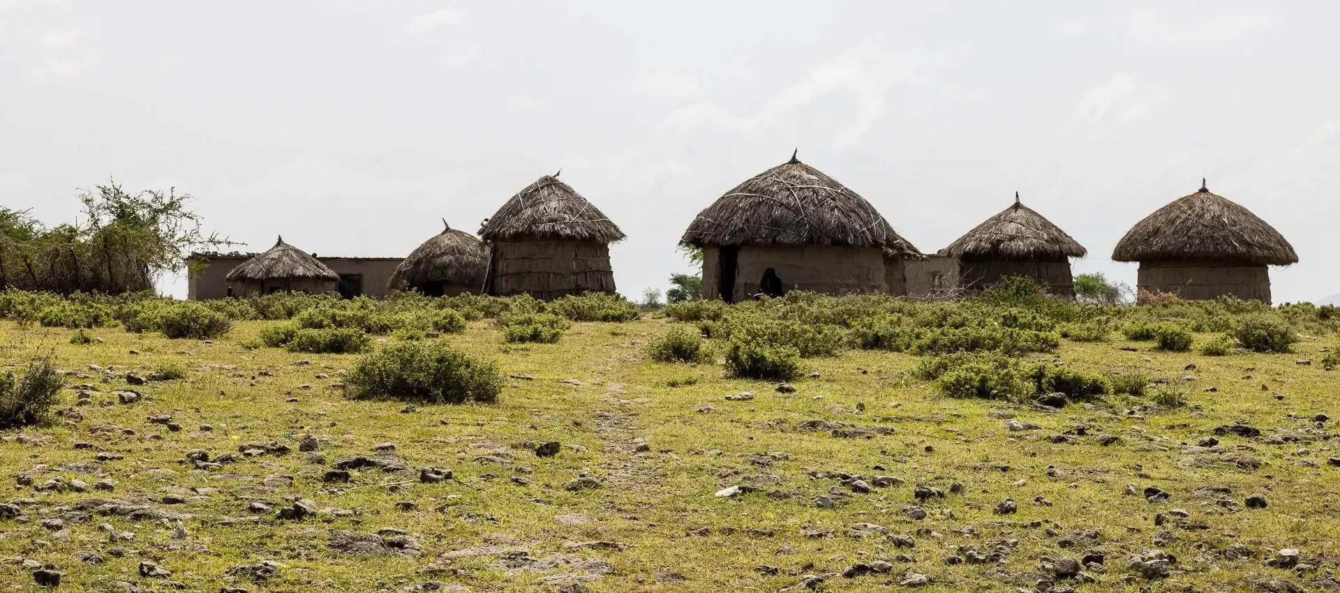 Maasai Bomas in Mto wa Mbu