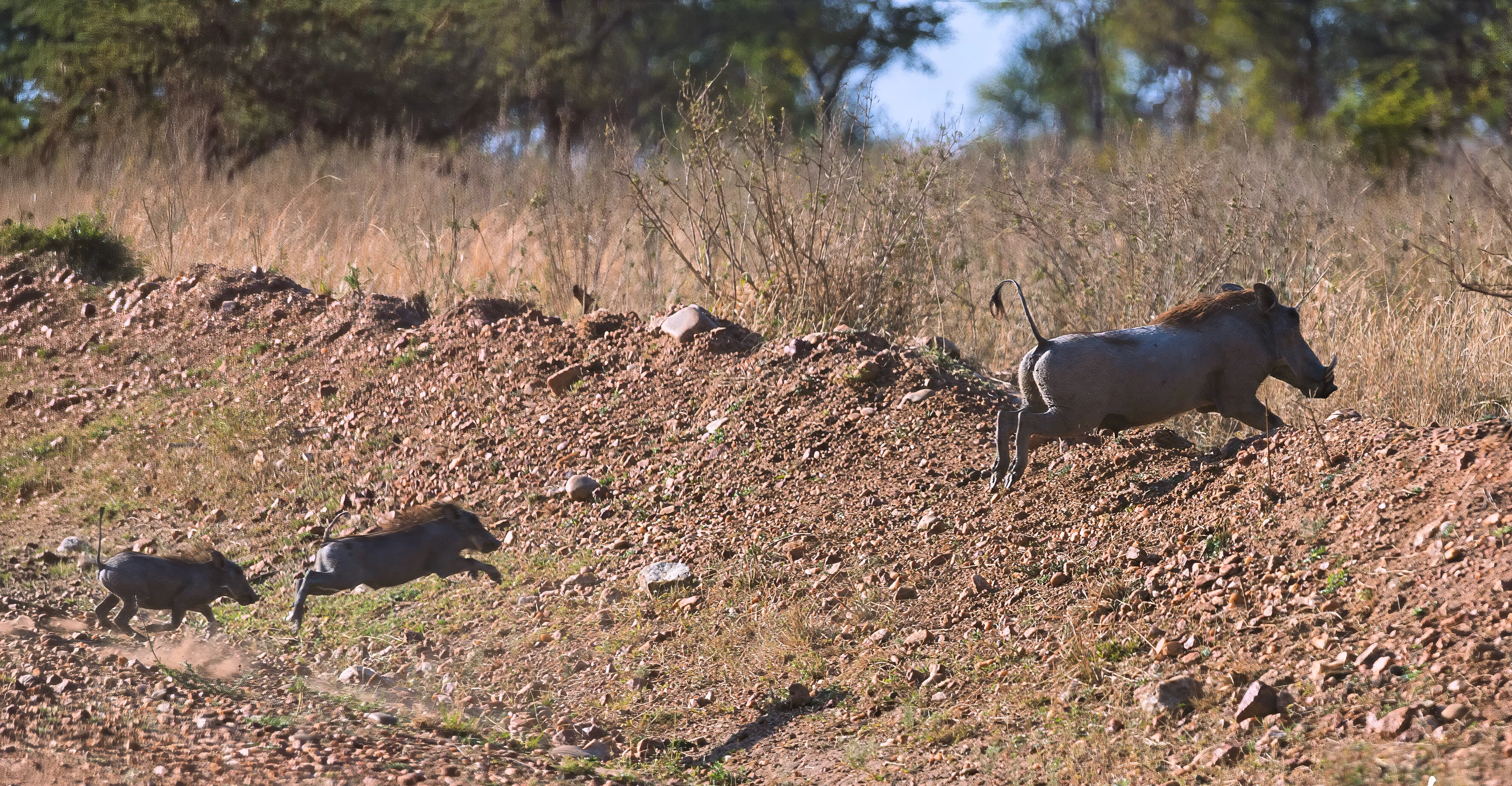9-Day Off-the-Beaten-Path Migration Safari