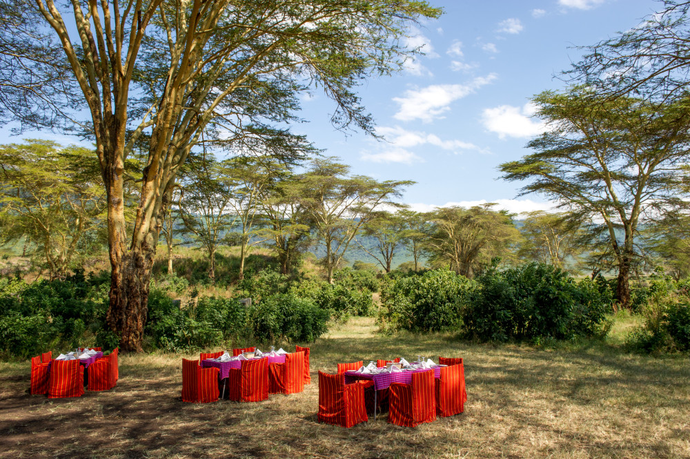 Ngorongoro Serena Safari Lodge 7