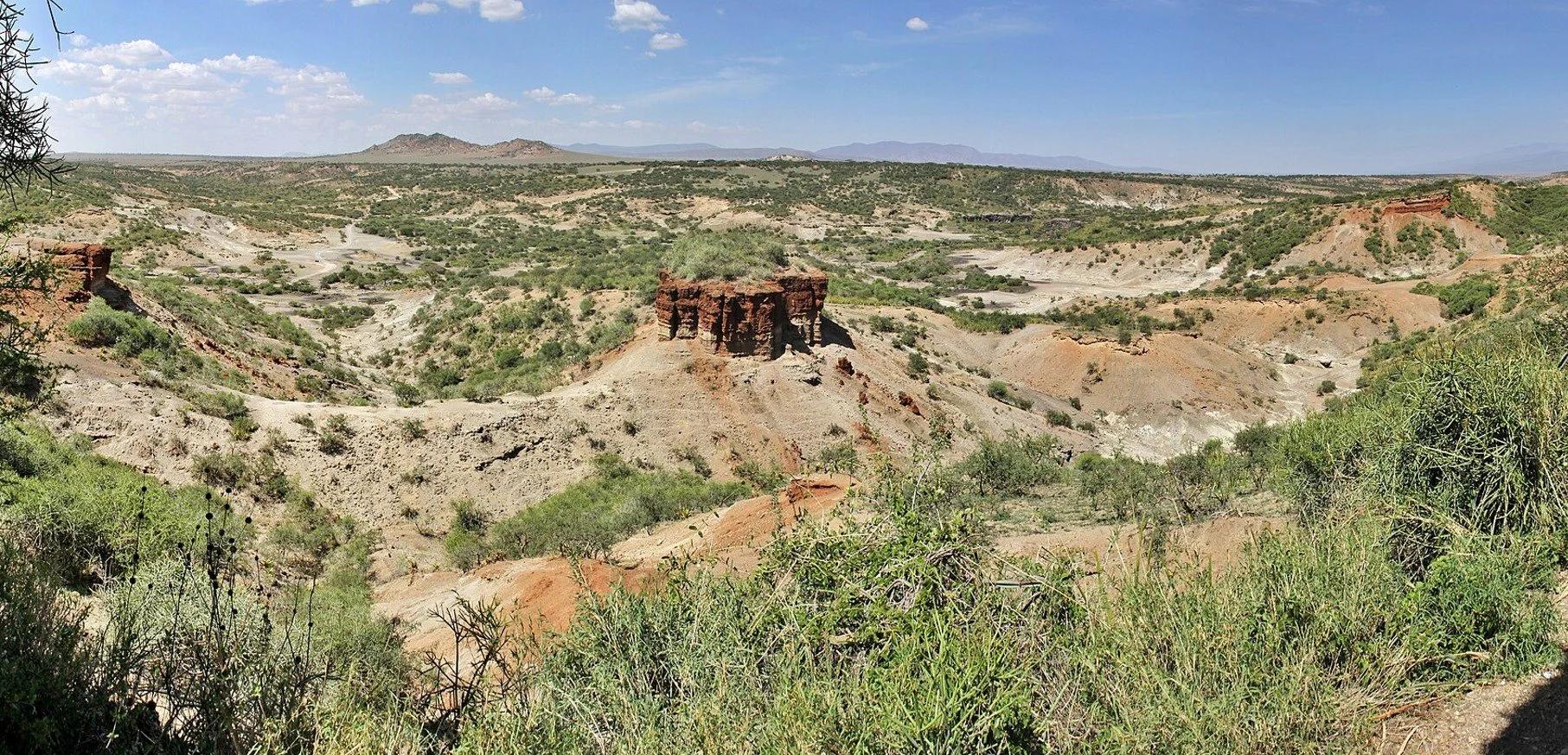 Visit Olduvai Gorge In Ngorongoro