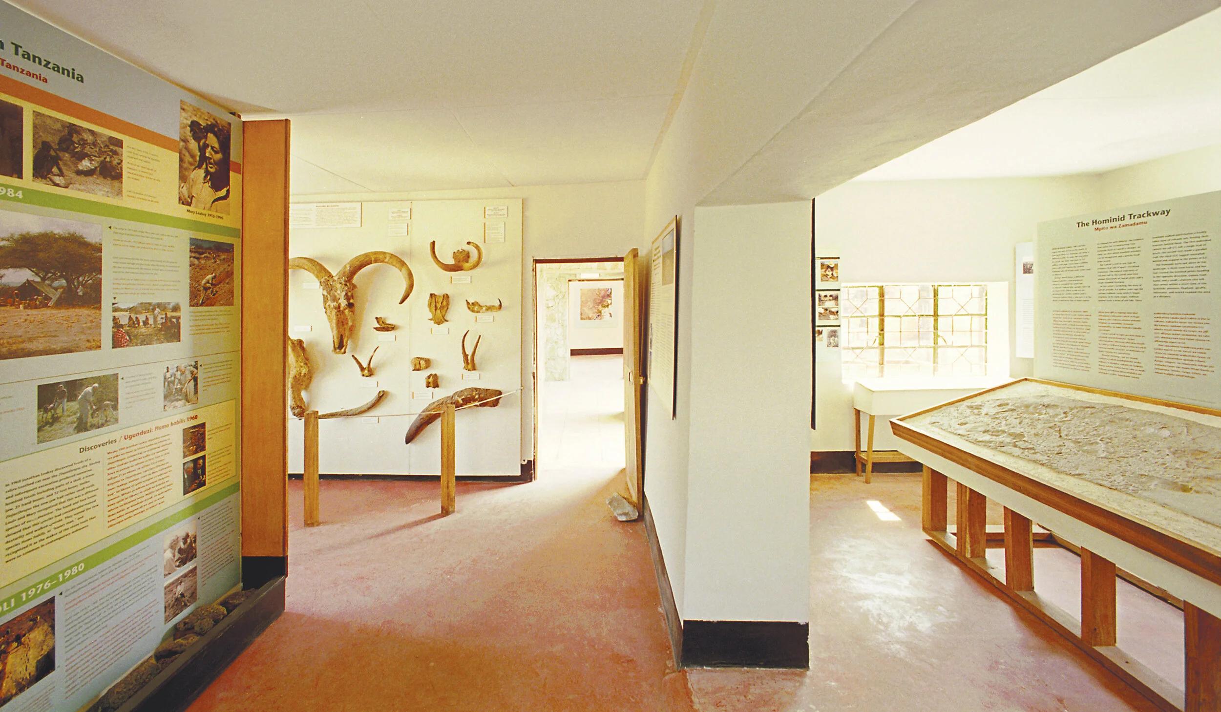 Visit Olduvai Gorge In Ngorongoro