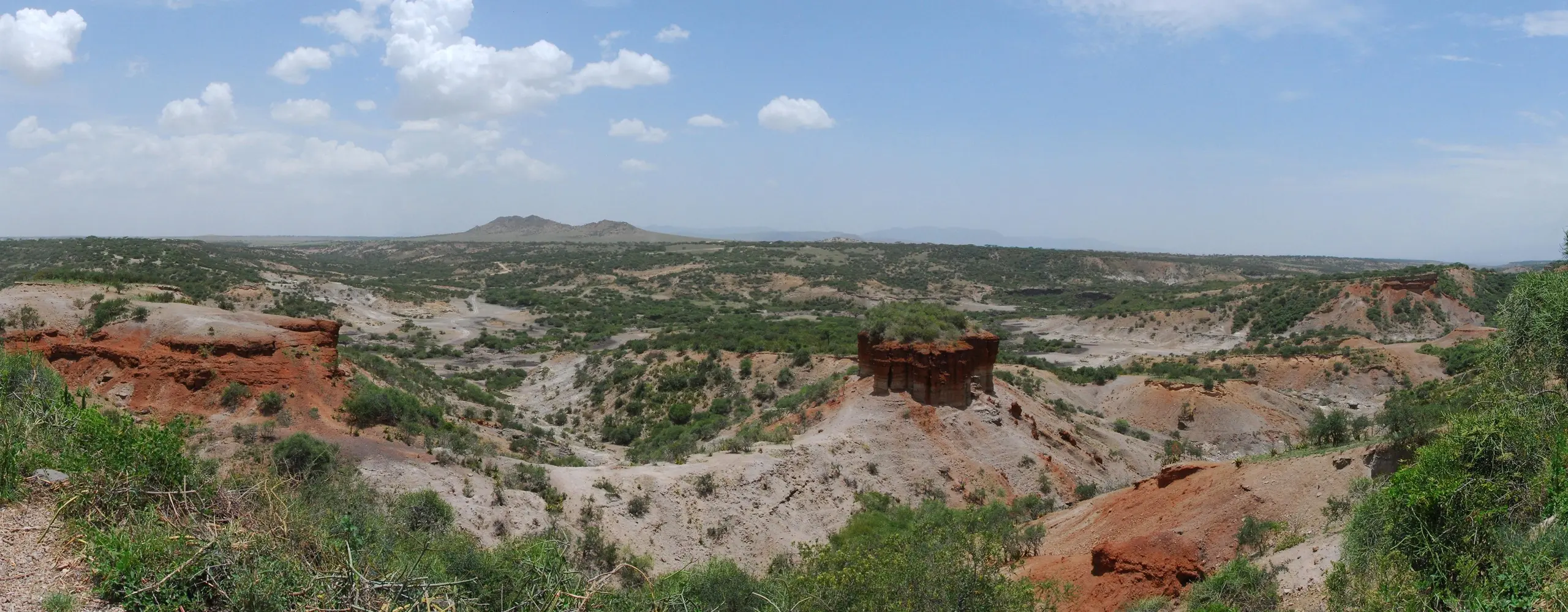 Visit Olduvai Gorge In Ngorongoro