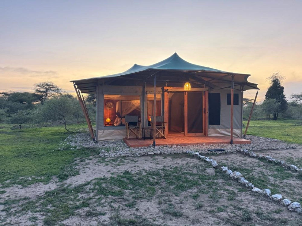 Safari Haven Migration Camp 1