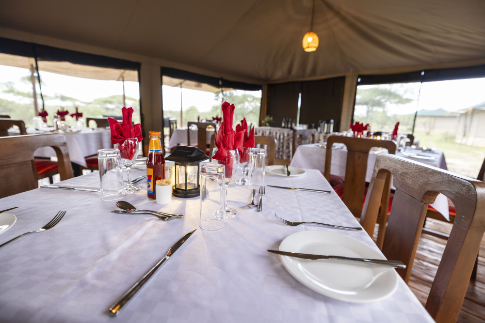 Safari Haven Migration Camp 10
