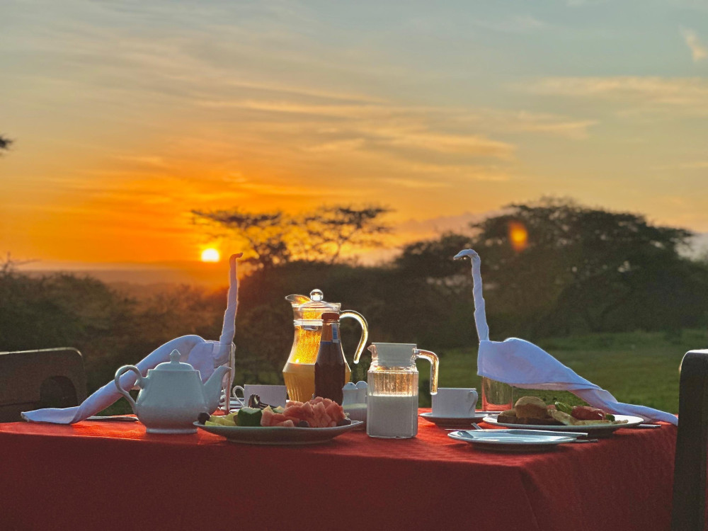 Safari Haven Migration Camp 12
