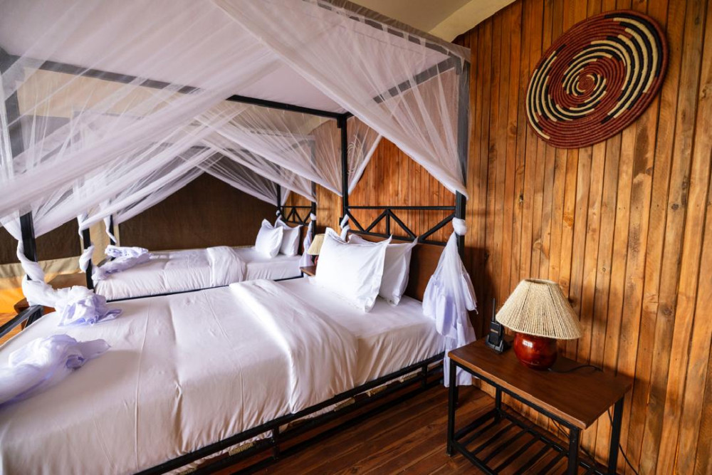Safari Haven Migration Camp 2