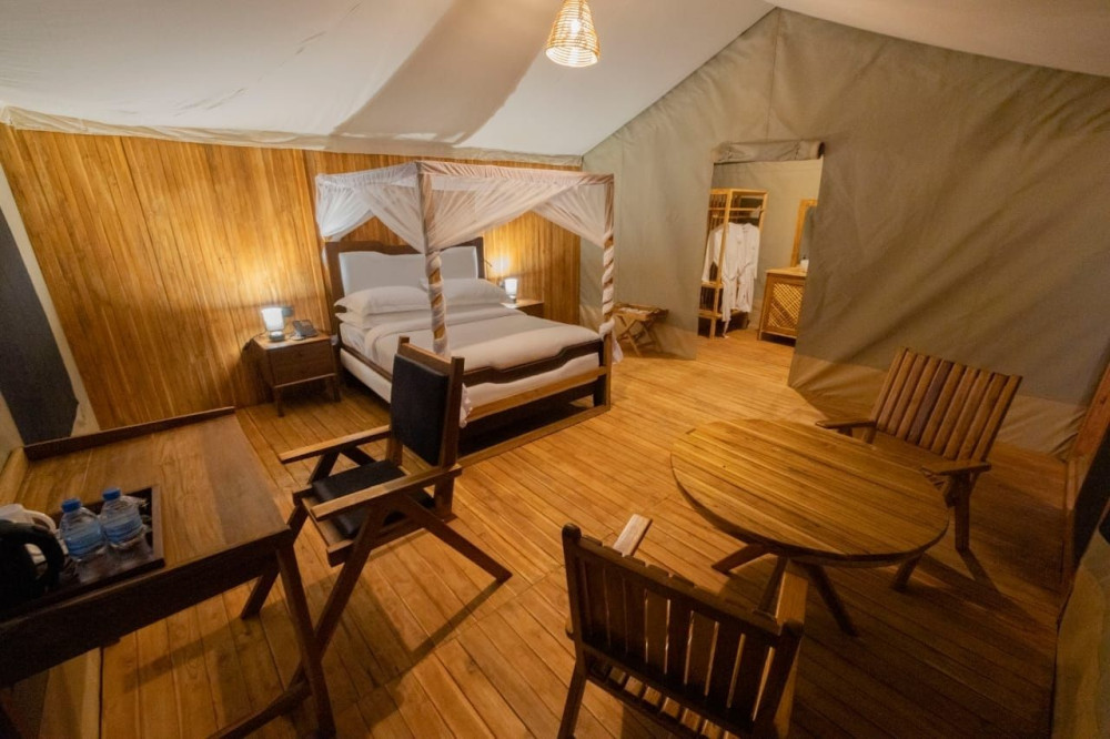 Safari Haven Migration Camp 3