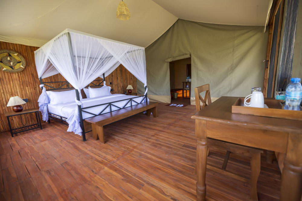 Safari Haven Migration Camp 4
