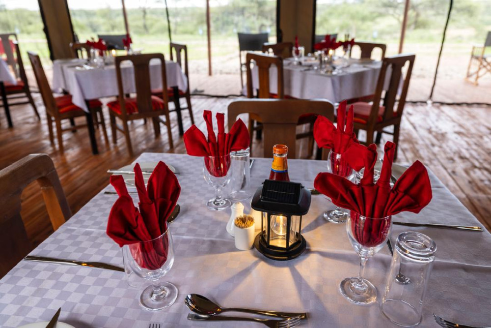 Safari Haven Migration Camp 6