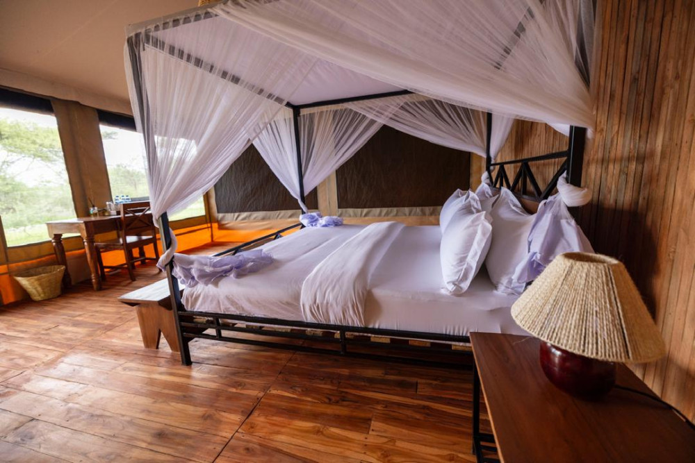 Safari Haven Migration Camp 7