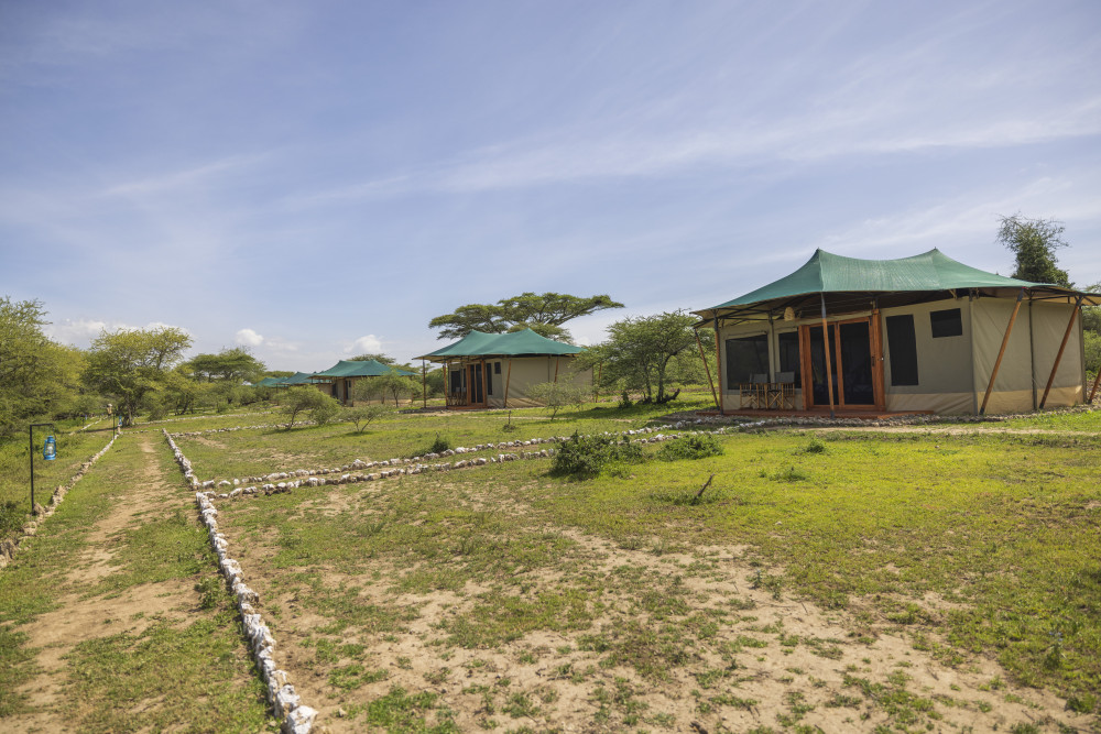 Safari Haven Migration Camp 9