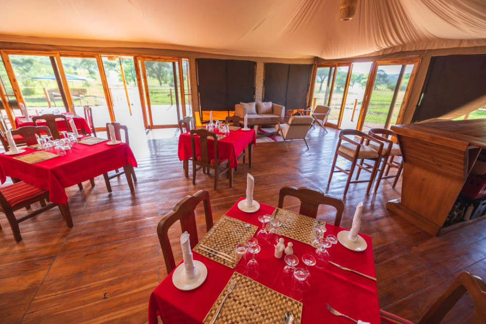 Safari Haven Serengeti Camp 10