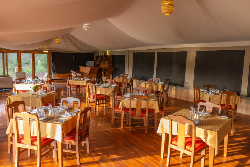 Safari Haven Serengeti Camp 11
