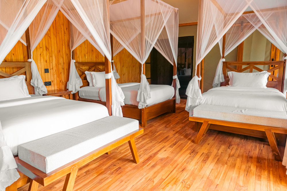 Safari Haven Tarangire Camp 2