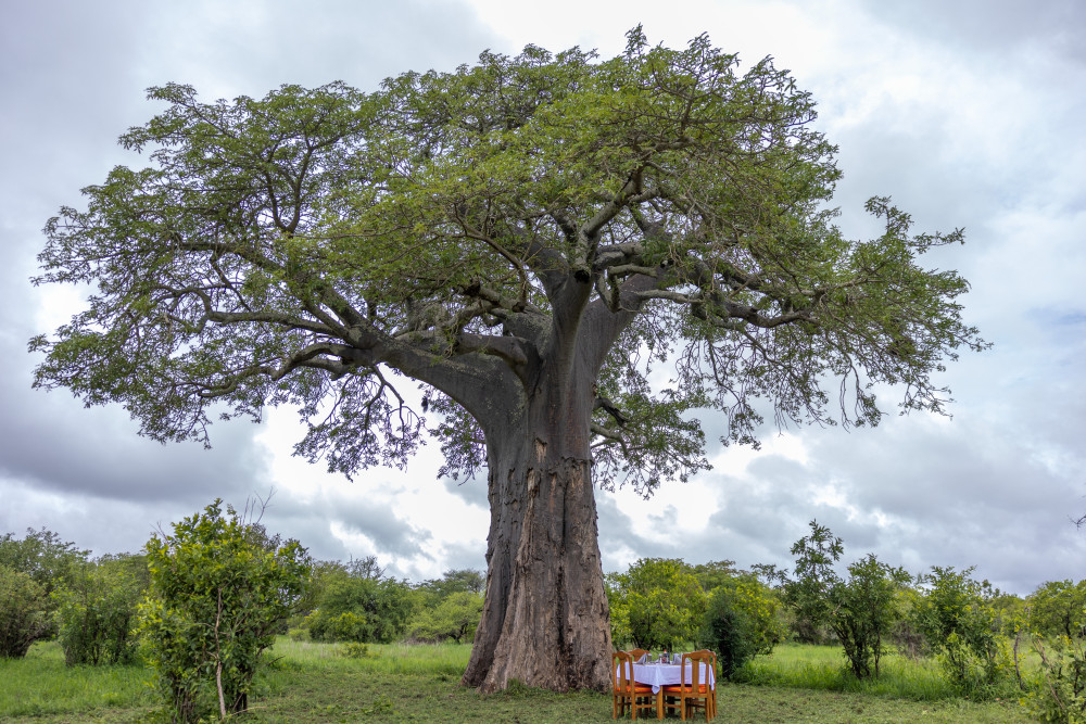 Safari Haven Tarangire Camp 3
